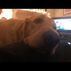 Meet your Posher, Adam